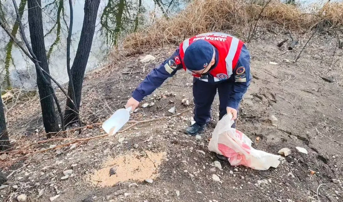 Yozgat'ta, Çevre, Doğa ve Hayvanları Koruma Timi, Karanlıkdere Devlet Avlağı'nda