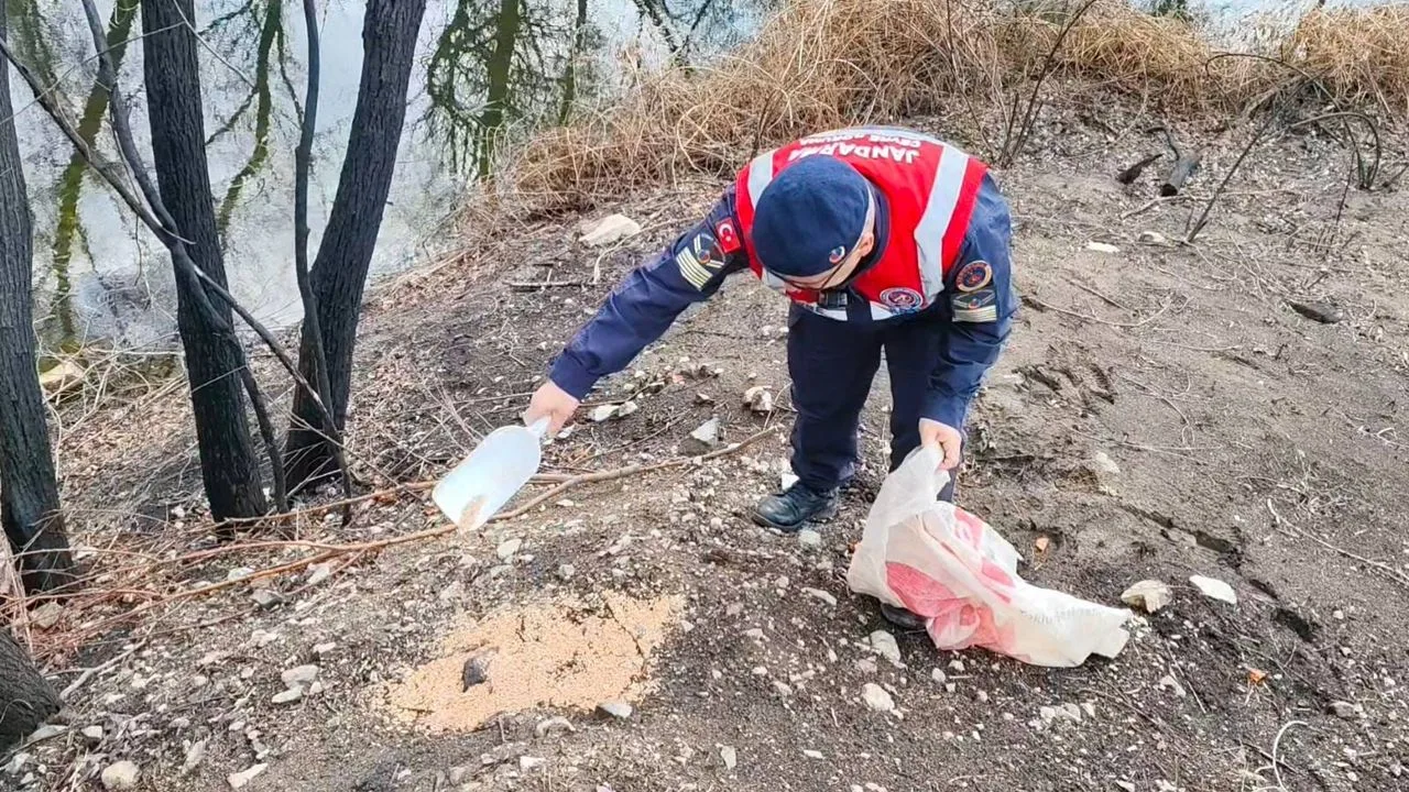 Yozgat'ta, Çevre, Doğa ve Hayvanları Koruma Timi, Karanlıkdere Devlet Avlağı'nda