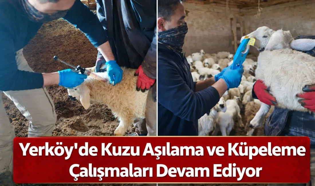 Yerköy İlçe Tarım ve Orman Müdürlüğü ekipleri, hayvan sağlığının korunması