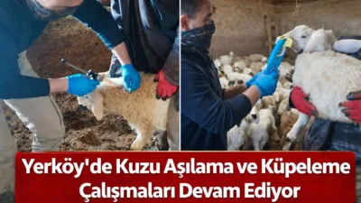 Yerköy İlçe Tarım ve Orman Müdürlüğü ekipleri, hayvan sağlığının korunması