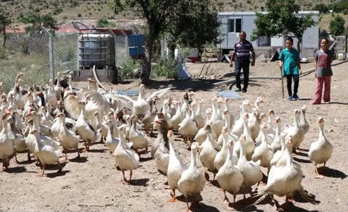Yozgat Bozok Üniversitesi ve Tarım ve Orman Bakanlığı TAGEM Bandırma
