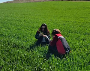 Yerköy İlçe Tarım ve Orman Müdürlüğü ekipleri, ekili alanlarda bitkisel