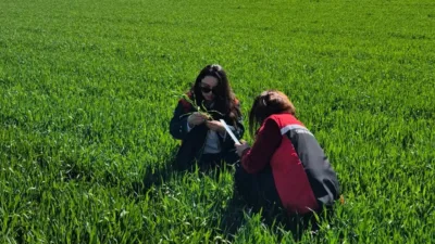 Yerköy İlçe Tarım ve Orman Müdürlüğü ekipleri, ekili alanlarda bitkisel