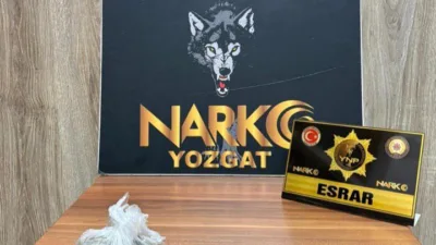 Narkotik ekiplerinin ortak çalışmasında suçüstü yakalanan şüphelilerden biri tutuklandı.