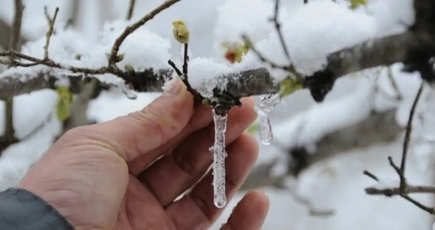 Yozgat ve ilçelerinde etkili olması beklenen orta ve yer yer
