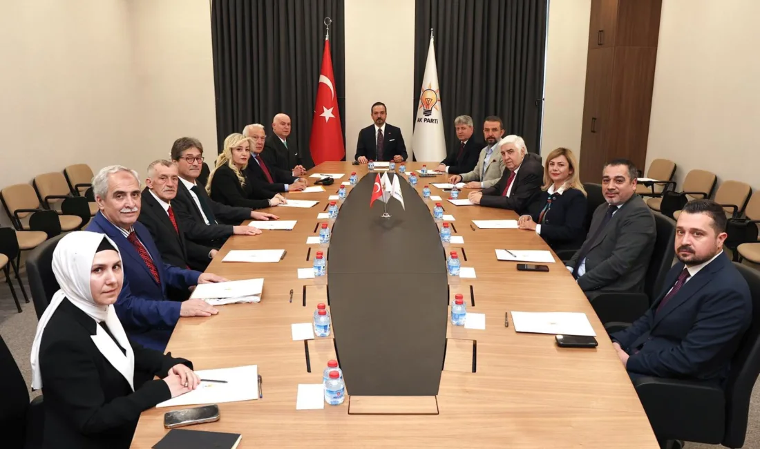 AK Parti Genel Başkan Yardımcısı Prof. Dr. Kürşad Zorlu, Demokratlar