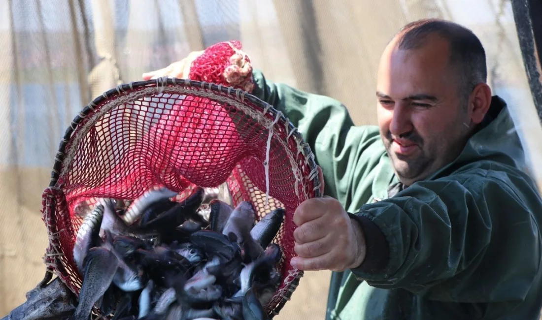 Yozgat Çekerek Barajı'nda son yağışlarla doluluk oranı yüzde 60,6'ya yükseldi;