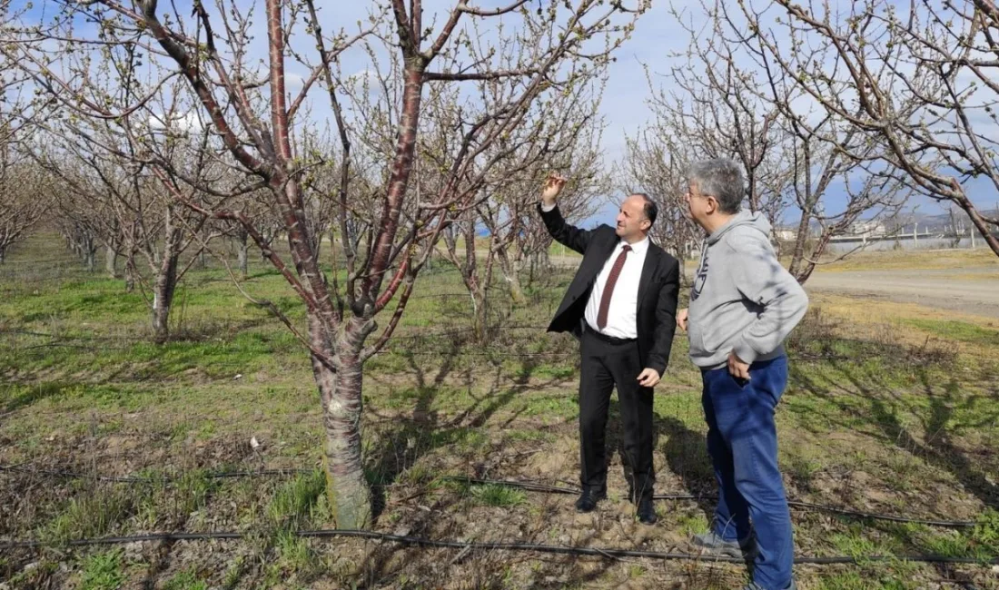 Yozgat İl Tarım ve Orman Müdürü Ömer Şentürk, ani sıcaklık