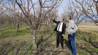 Yozgat İl Tarım ve Orman Müdürü Ömer Şentürk, ani sıcaklık