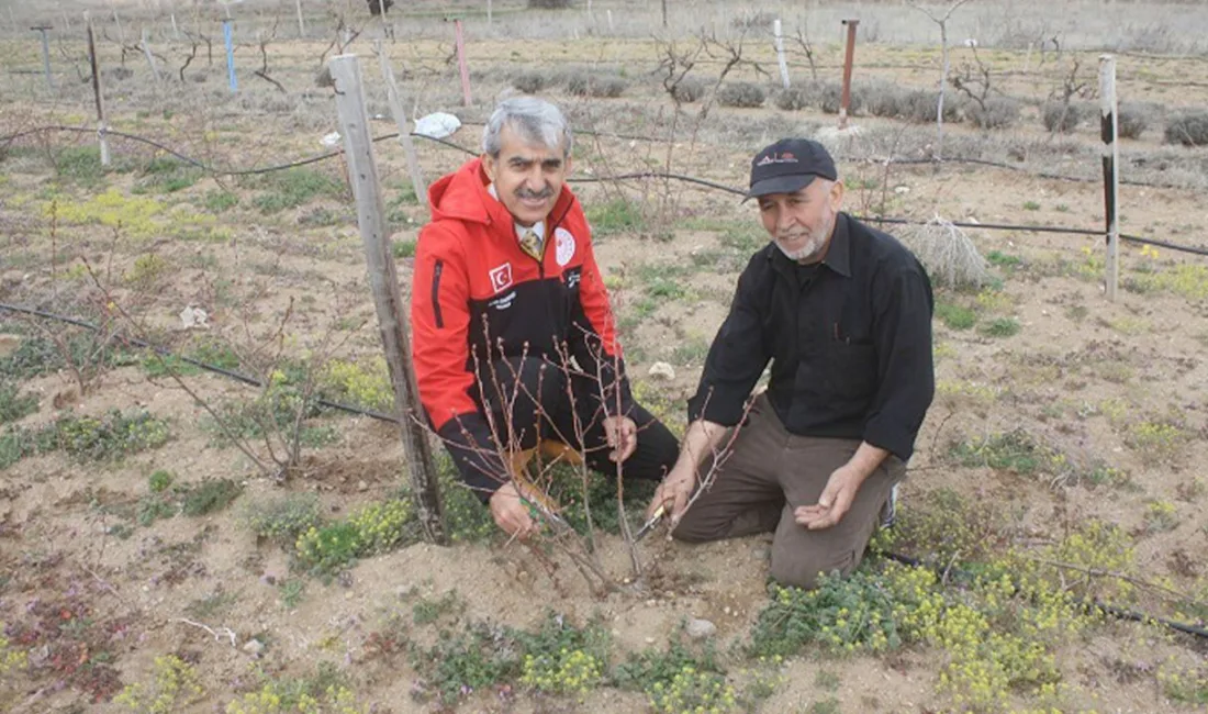 Yozgat İl Tarım ve Orman Müdürlüğü, Aronya üretimini artırmak amacıyla
