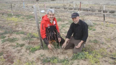 Yozgat İl Tarım ve Orman Müdürlüğü, Aronya üretimini artırmak amacıyla