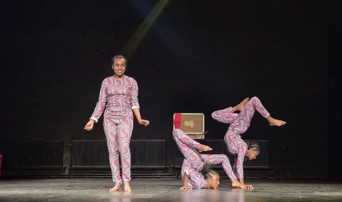 Yozgat İl Kültür Müdürlüğü tarafından düzenlenen "Afrika Sirki" gösterisi, 0-6