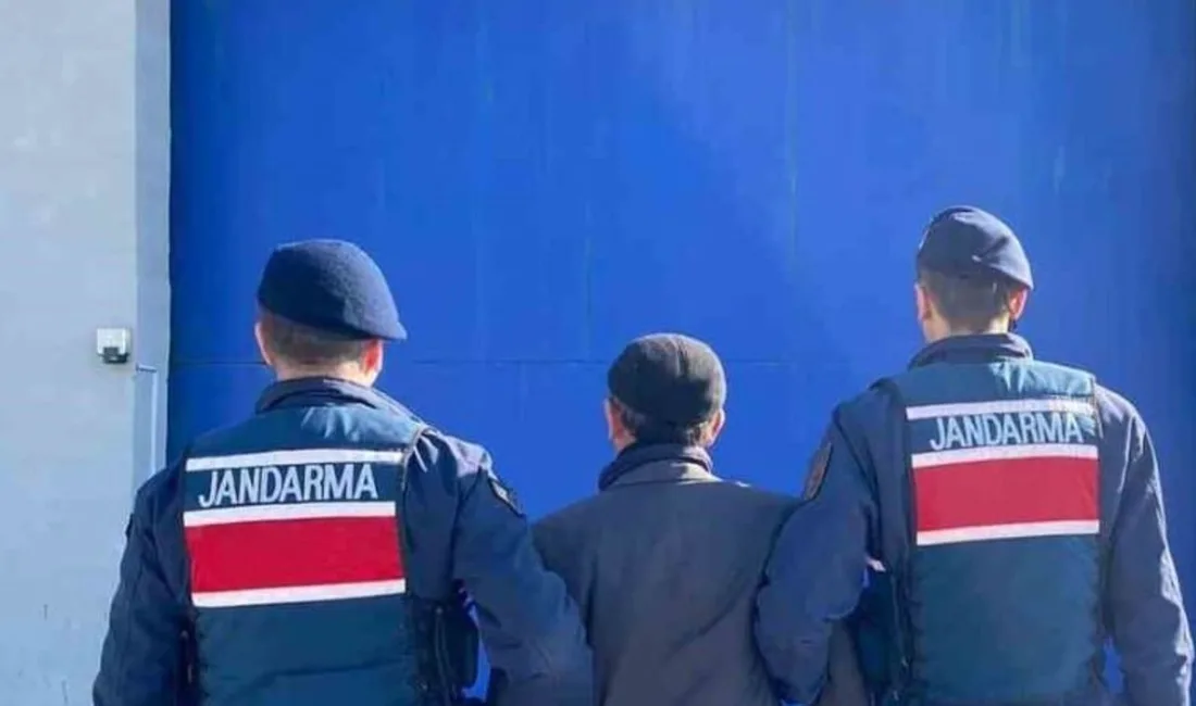 Yozgat İl Jandarma Komutanlığı, hırsızlık ve orman arazisini işgal suçlarından