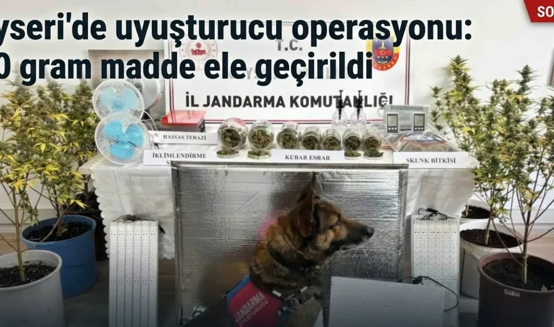 Kayseri İl Jandarma Komutanlığı'nın düzenlediği operasyonda 830 gram uyuşturucu madde