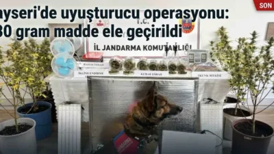 Kayseri İl Jandarma Komutanlığı'nın düzenlediği operasyonda 830 gram uyuşturucu madde