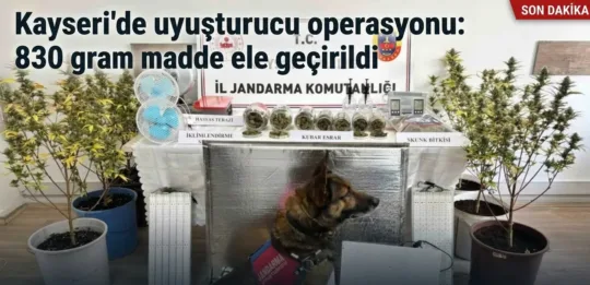 Kayseri İl Jandarma Komutanlığı'nın düzenlediği operasyonda 830 gram uyuşturucu madde