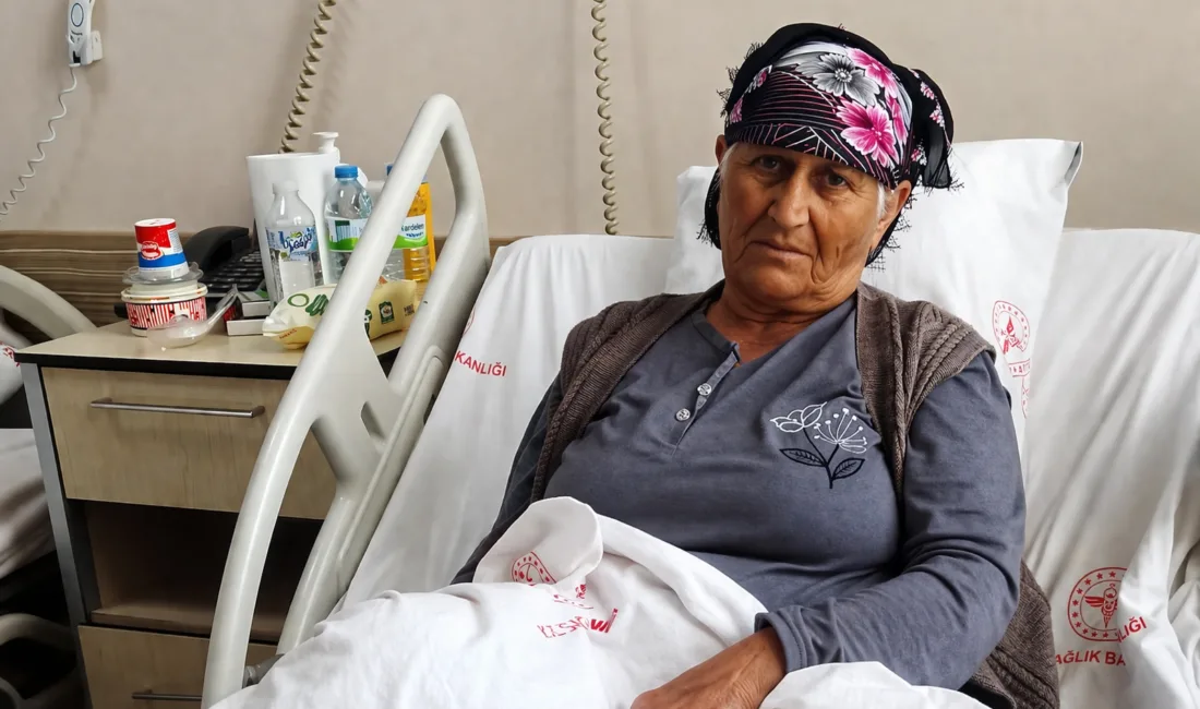 Yozgat’ın Yerköy ilçesine bağlı Sekili Köyü sakinlerinden Nezaket Bacanak, hayatını