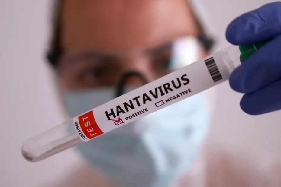 Arjantin'de hantavirüs vakaları hızla artarken, uzmanlar bu durumu iklim değişikliği