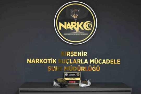 Kırşehir'de düzenlenen operasyonda 856 gram uyuşturucu madde ele geçirildi ve