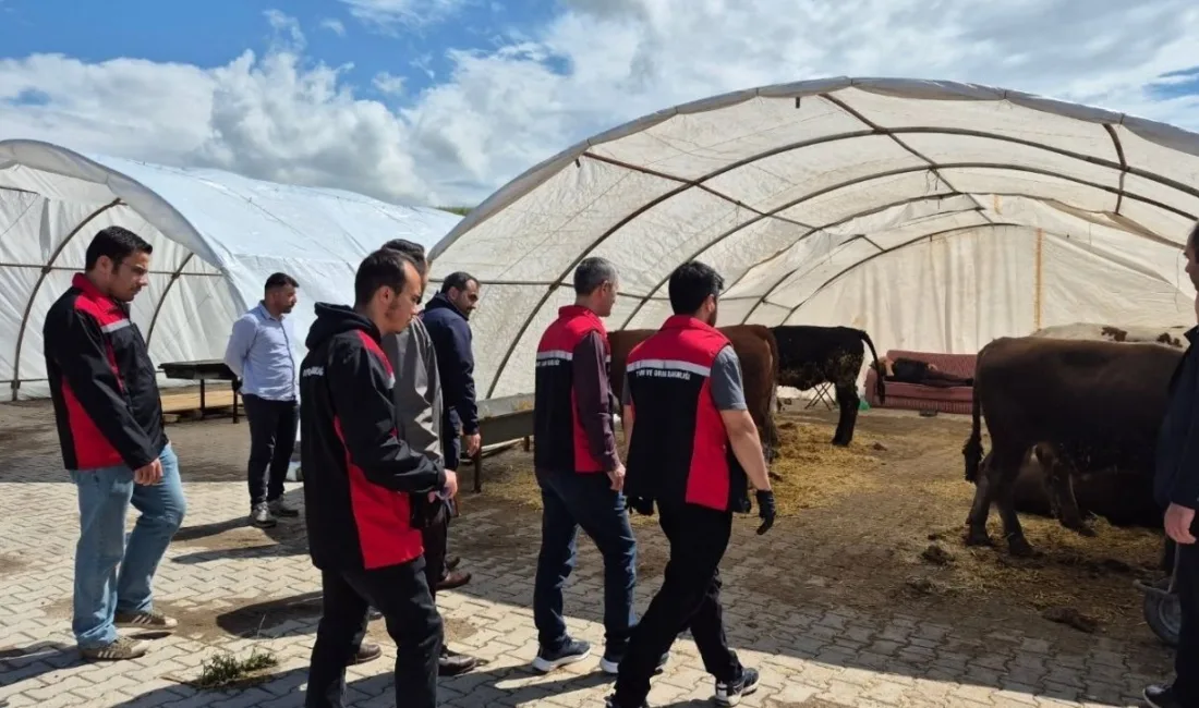 Yerköy İlçe Müdürü Serkan Orhan liderliğindeki heyet, kurban pazarlarında hayvanların