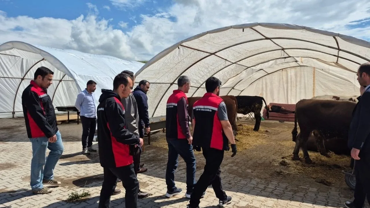 Yerköy İlçe Müdürü Serkan Orhan liderliğindeki heyet, kurban pazarlarında hayvanların