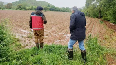Yozgat'ın Çekerek ilçesinde aşırı yağışlar nedeniyle tarım arazilerinde hasar tespit