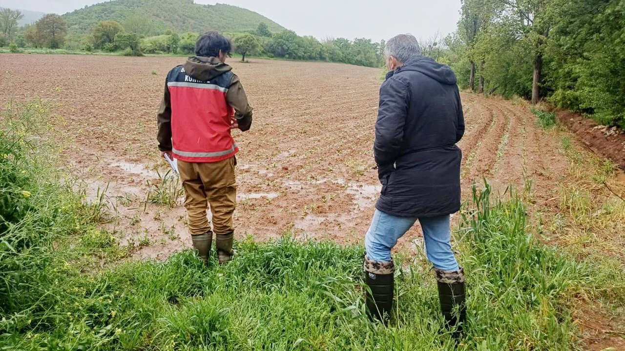 Yozgat'ın Çekerek İlçesinde Yağışlar Tarım Arazilerine Zarar Verdi