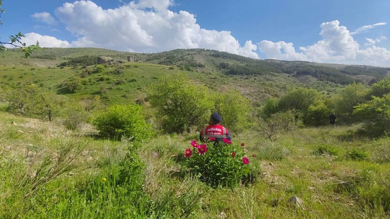 Yozgat'ta endemik bitki türü Cehrilik Lalesi'nin korunması amacıyla jandarma ekipleri