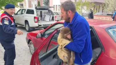 Yozgat'ın Sarıkaya ilçesinde, Karayakup köyü yolunda bulunan maymun, jandarma ekipleri