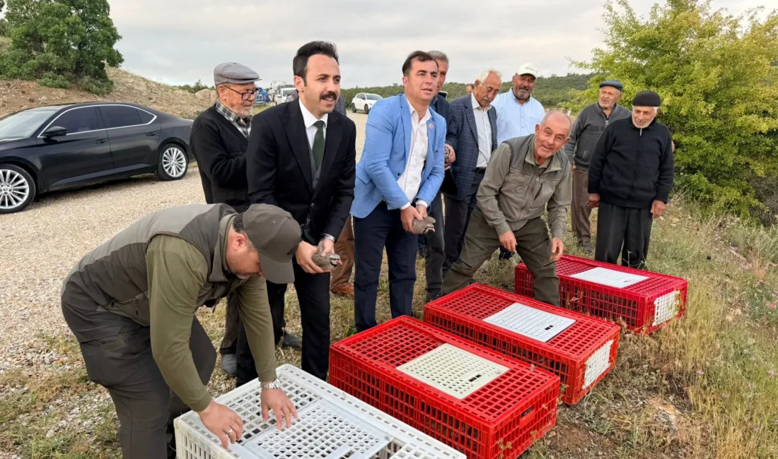 Çiçekdağı Kaymakamı Durdu Yavuz Öğüt, Kırşehir Doğa Koruma ve Milli