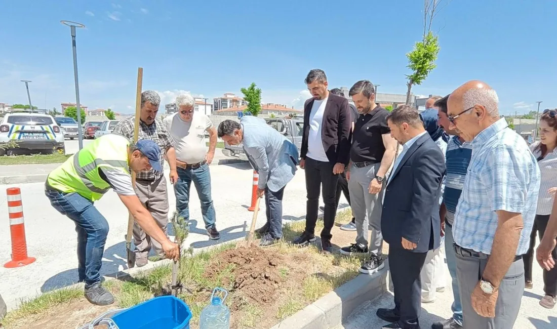 Yerköy Devlet Hastanesi yerleşkesinde gerçekleştirilen çam fidanı dikim programının ardından,