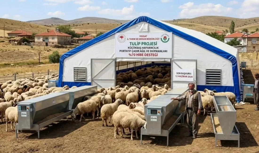 Yozgat'ta uygulanacak Portatif Çadır Ağıl Projesi'nin başvuru değerlendirme sonuçları 23-29
