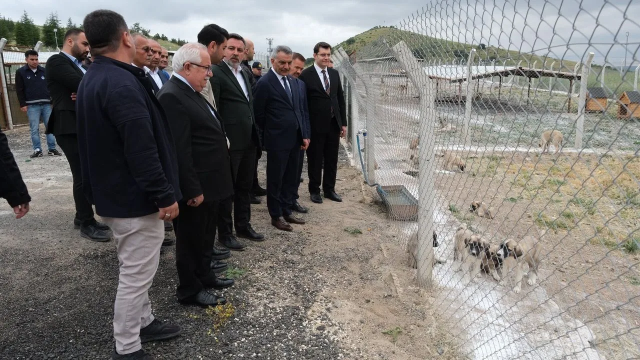 Yozgat Valisi Mehmet Ali Özkan, Yerköy Belediyesi Hayvan Bakımevi'nde incelemelerde