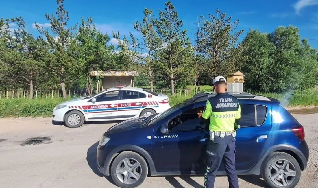 Yozgat'ın Şefaatli ilçesinde jandarma tarafından durdurulan bir otomobilin sürücüsü, yapılan