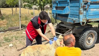 Yozgat Valiliği, il genelinde sahipli hayvanların kuduz aşısı yapılması ve