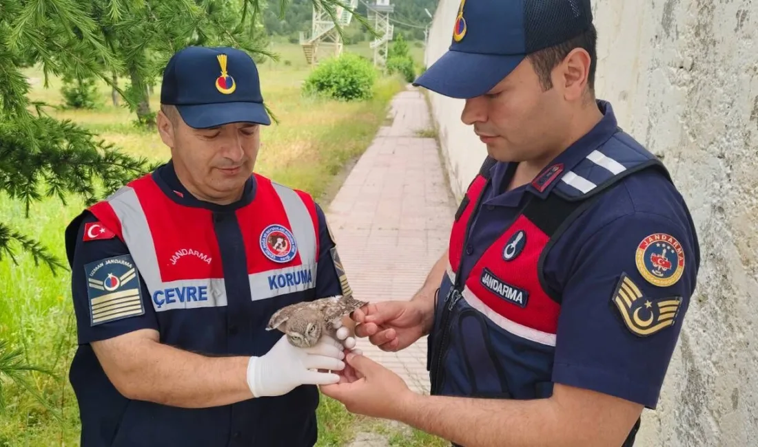 Yozgat E Tipi Kapalı Ceza İnfaz Kurumu'nda çatıdan düşerek yaralanan