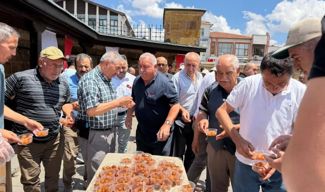 Yozgat Aile ve Sosyal Hizmetler İl Müdürlüğü, 15 Temmuz Demokrasi