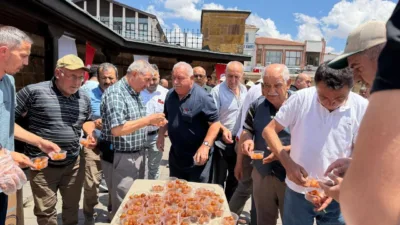 Yozgat Aile ve Sosyal Hizmetler İl Müdürlüğü, 15 Temmuz Demokrasi