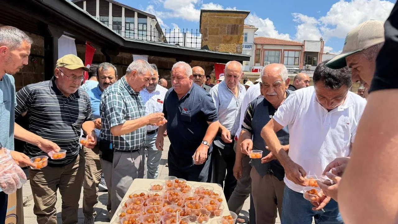 Yozgat Aile ve Sosyal Hizmetler İl Müdürlüğü, 15 Temmuz Demokrasi