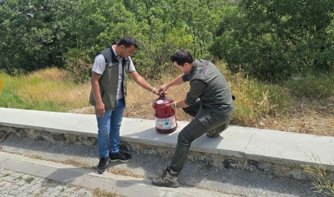 Yozgat'ta yaz aylarında artan orman yangını riskine karşı dikkat çeken