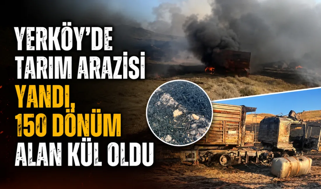 Yozgat’ın Yerköy ilçesinde çıkan yangında, 100 dönümü ekili ve 50
