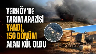 Yozgat’ın Yerköy ilçesinde çıkan yangında, 100 dönümü ekili ve 50