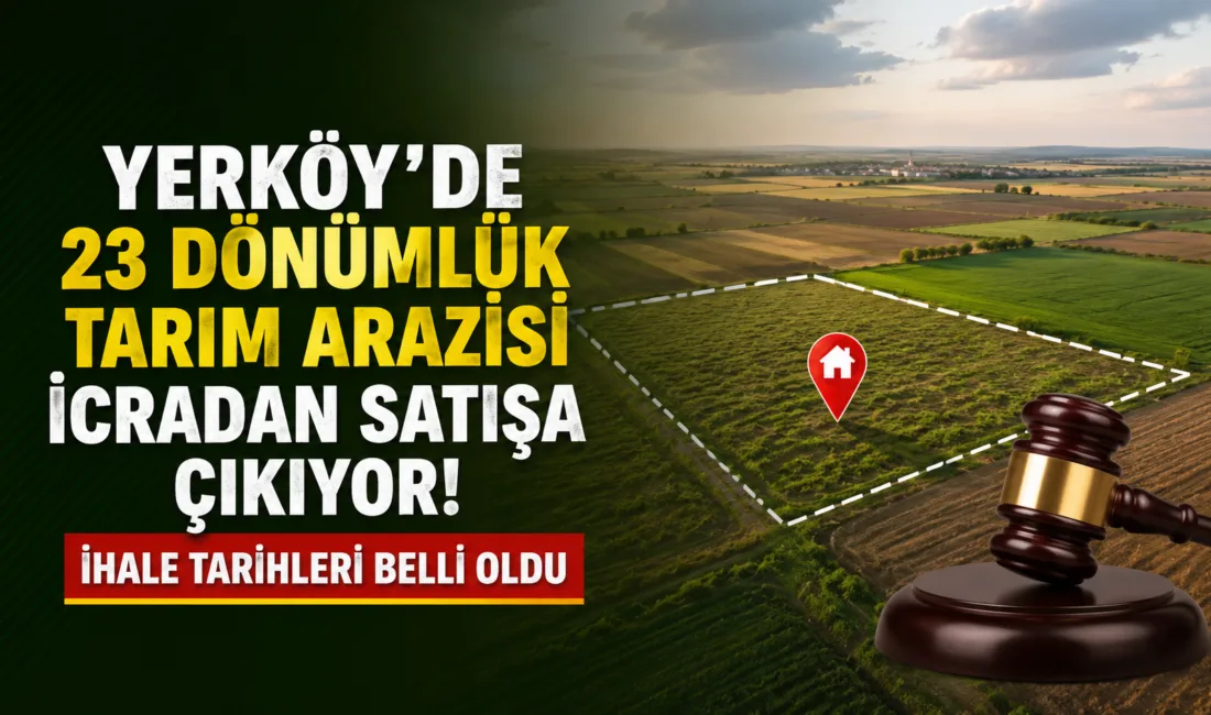 Yozgat'ın Yerköy ilçesine bağlı Hacımusalı köyünde bulunan yaklaşık 23 dönümlük