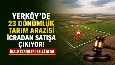 Yozgat'ın Yerköy ilçesine bağlı Hacımusalı köyünde bulunan yaklaşık 23 dönümlük