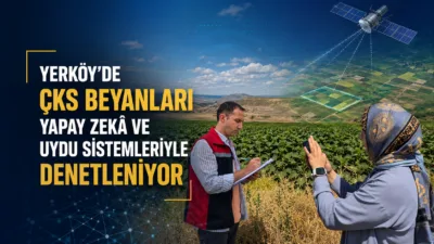 Yerköy İlçe Tarım ve Orman Müdürlüğü, ÇKS beyanları ile tarımsal