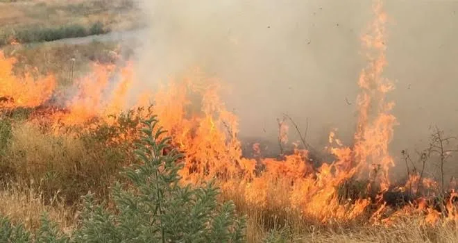 Yozgat'ın Yenifakılı ilçesinde jandarma ekipleri, kuru ot yakan bir kişi