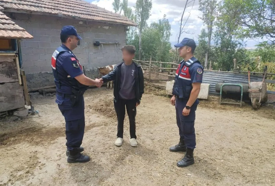 Yozgat'ın Kadışehri ilçesinde kaybolan iki büyükbaş hayvan, jandarma ekiplerinin hızlı