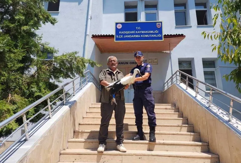 Yozgat'ın Kadışehri ilçesinde jandarma ekipleri, yaralı bir leyleği koruma altına