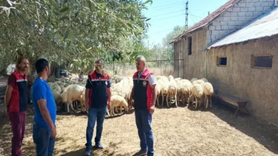 Tarım ve Orman Bakanlığı'nın "Kırsalda Bereket, Küçükbaşa Destek Projesi" kapsamında
