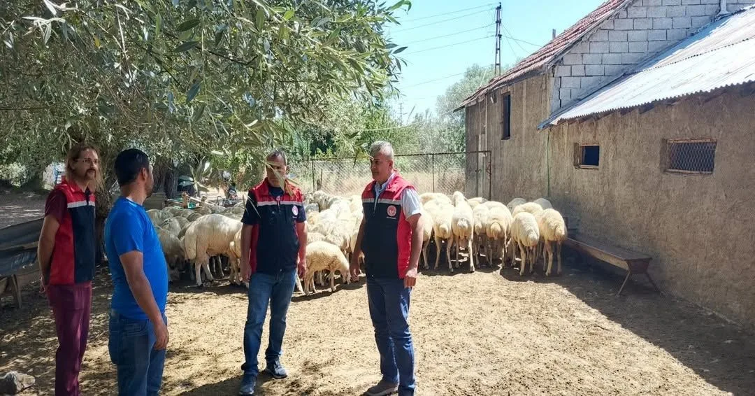 Tarım ve Orman Bakanlığı'nın "Kırsalda Bereket, Küçükbaşa Destek Projesi" kapsamında